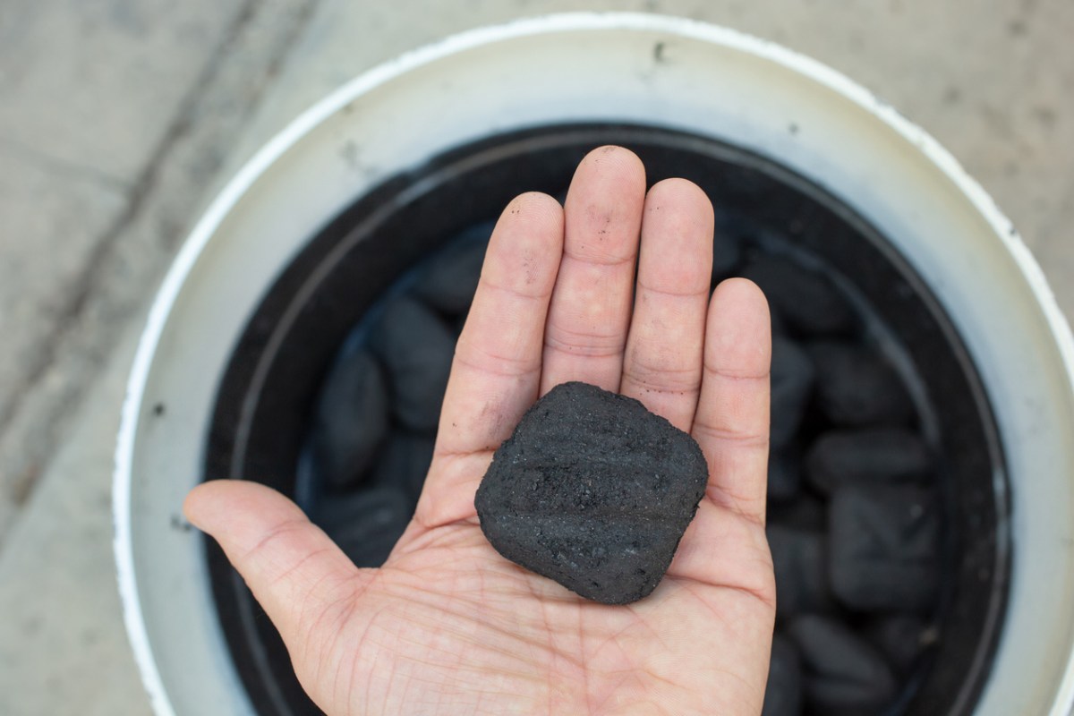10 Surprisingly Clever Uses for Charcoal Briquettes