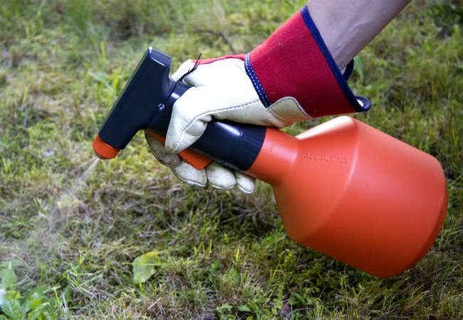 7 Weirdly Effective Ways to Weed