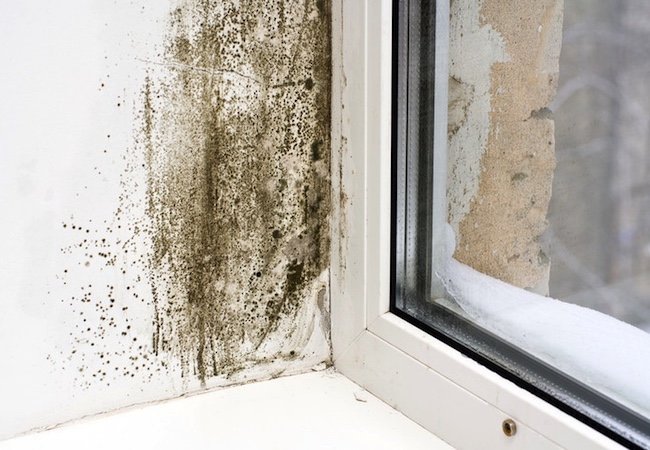 Prevent Runaway Mold in Your Vacation Home with Innovative HVAC