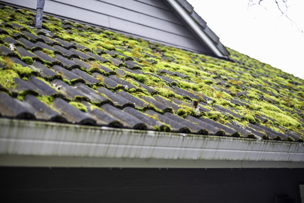 How to Remove Moss from a Roof