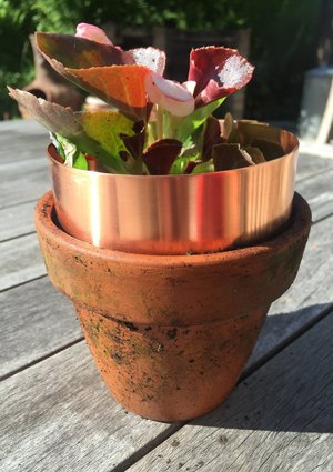 how to get rid of slugs - copper tape