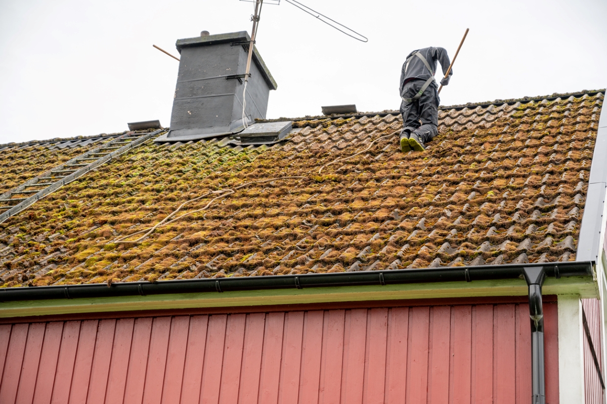 Man wearing safety gear is cleaning moss off the roof.