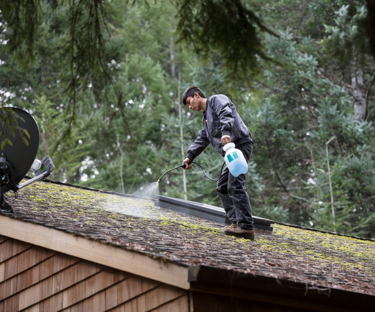 A man using a sprayer to clean moss growing on the roof.