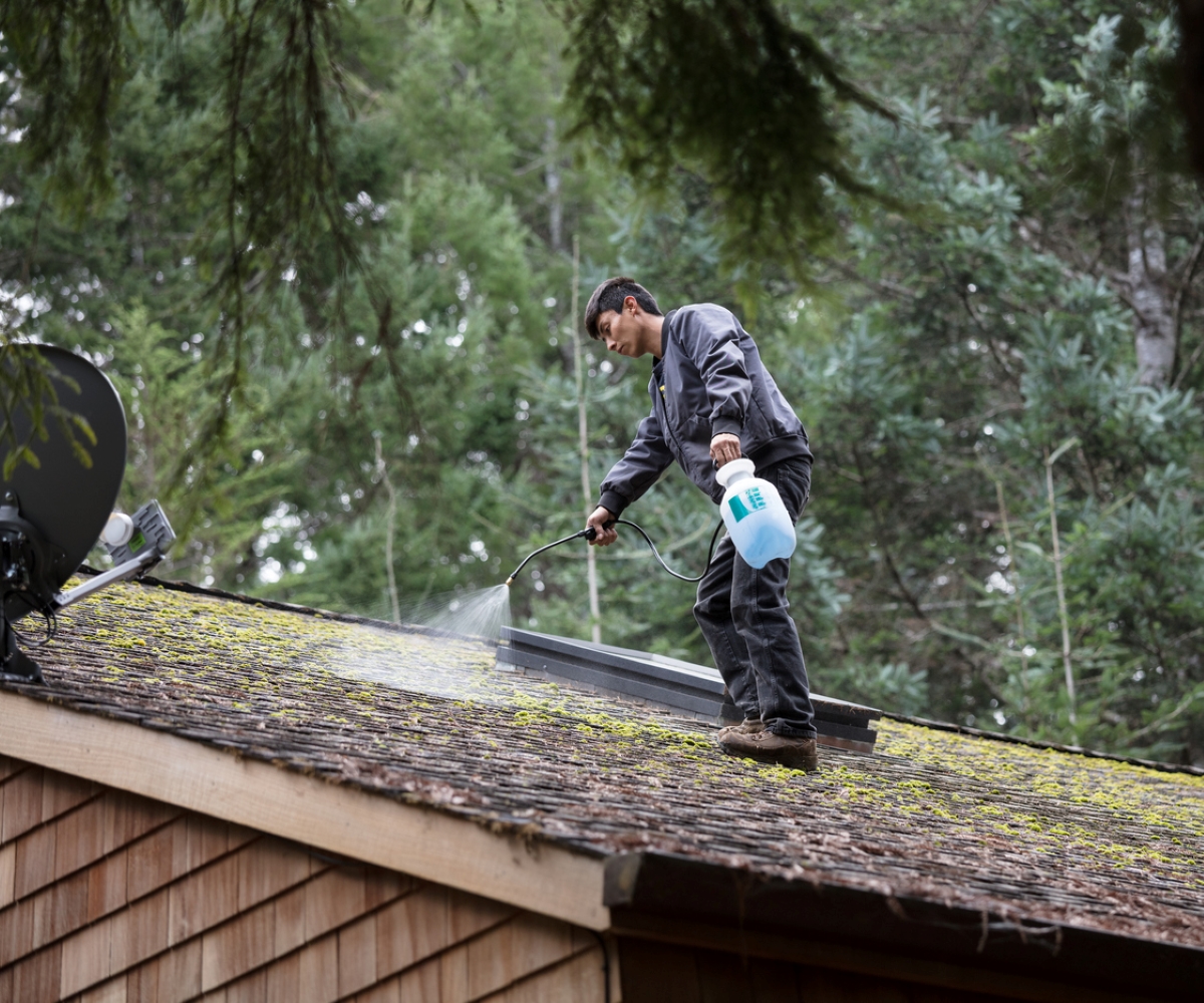 A man using a sprayer to clean moss growing on the roof.