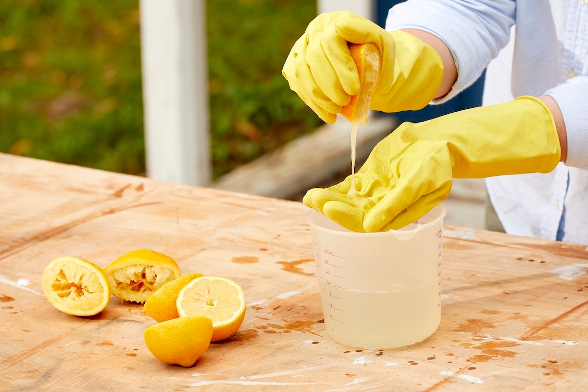 Woman wearing rubber gloves squeezes cut lemons onto hand and into a measuring cup.