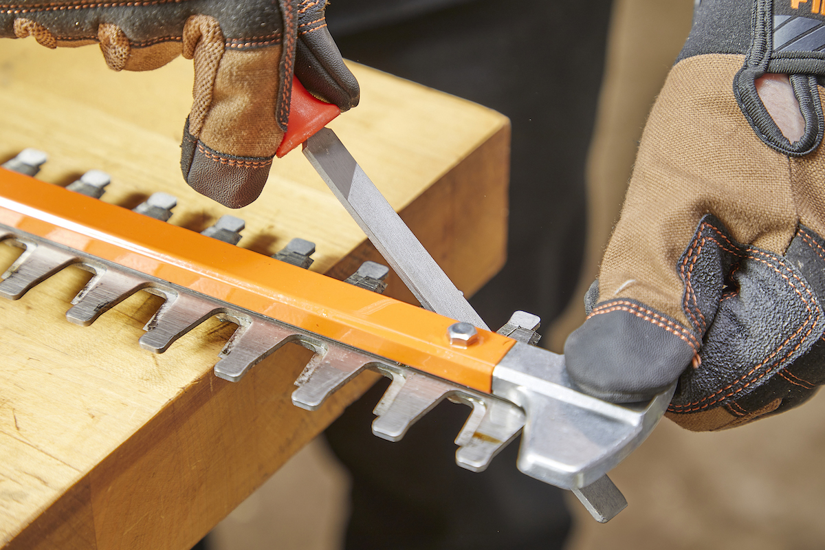 Sharpening an orange hedge trimmer on work bench with work gloves on.