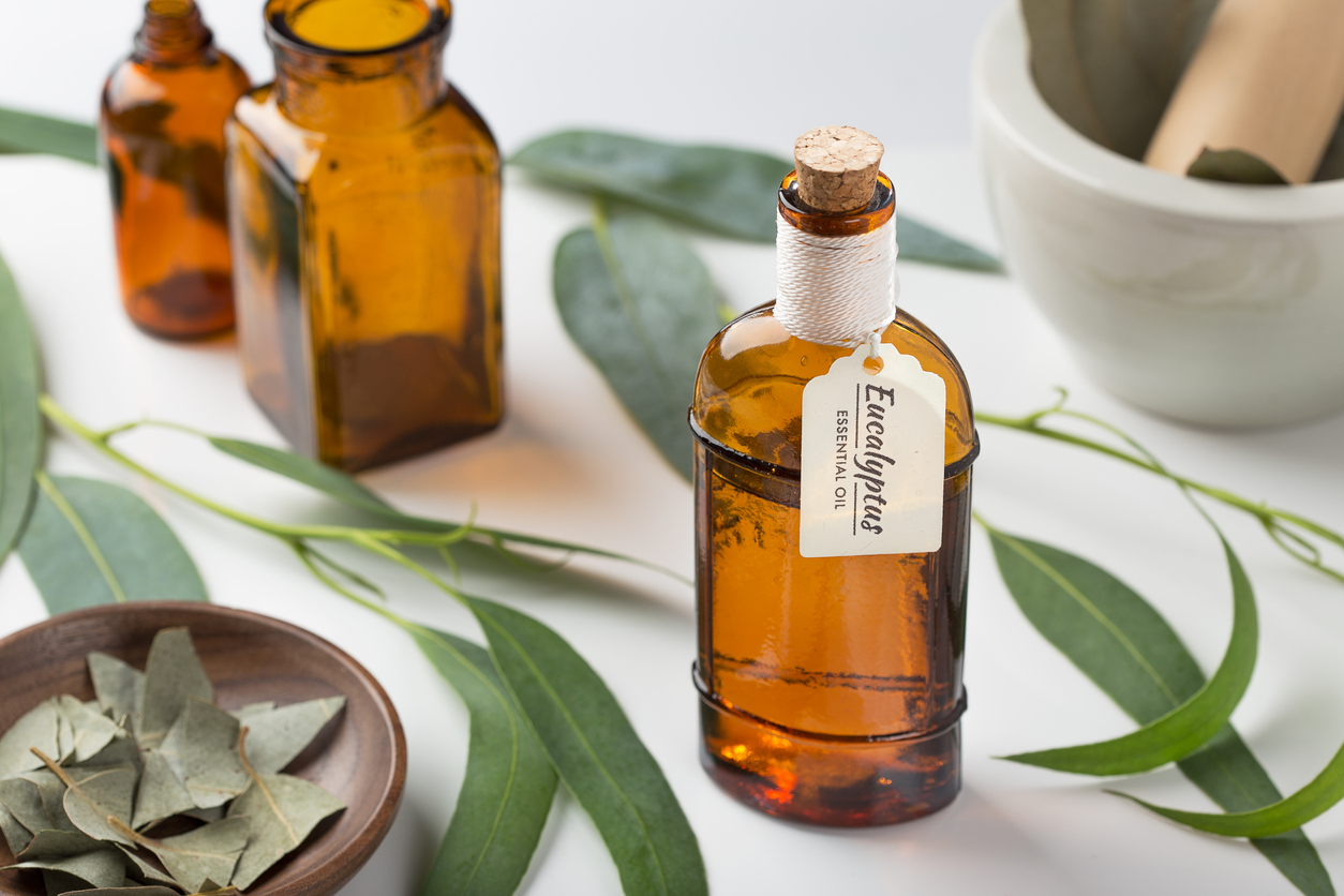 Eucalyptus essential oil wih leaves on white background. Organic aromatheraphy