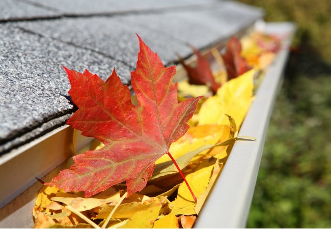 How to Clean Gutters without a Ladder - Leaves in Rain Gutter