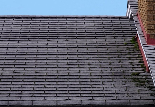 Bob Vila Radio: Is a Mossy Roof Cause for Concern?