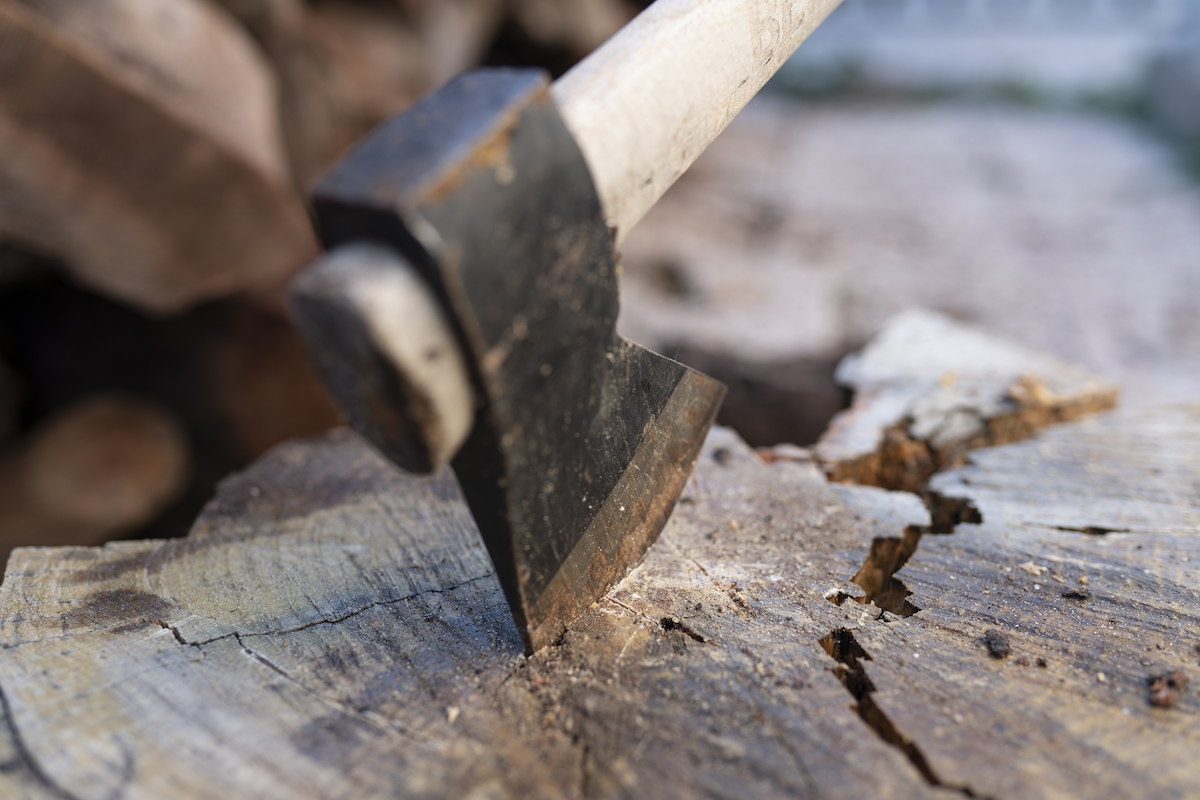 Close up of an ax with its blade pointed into the round of a log.