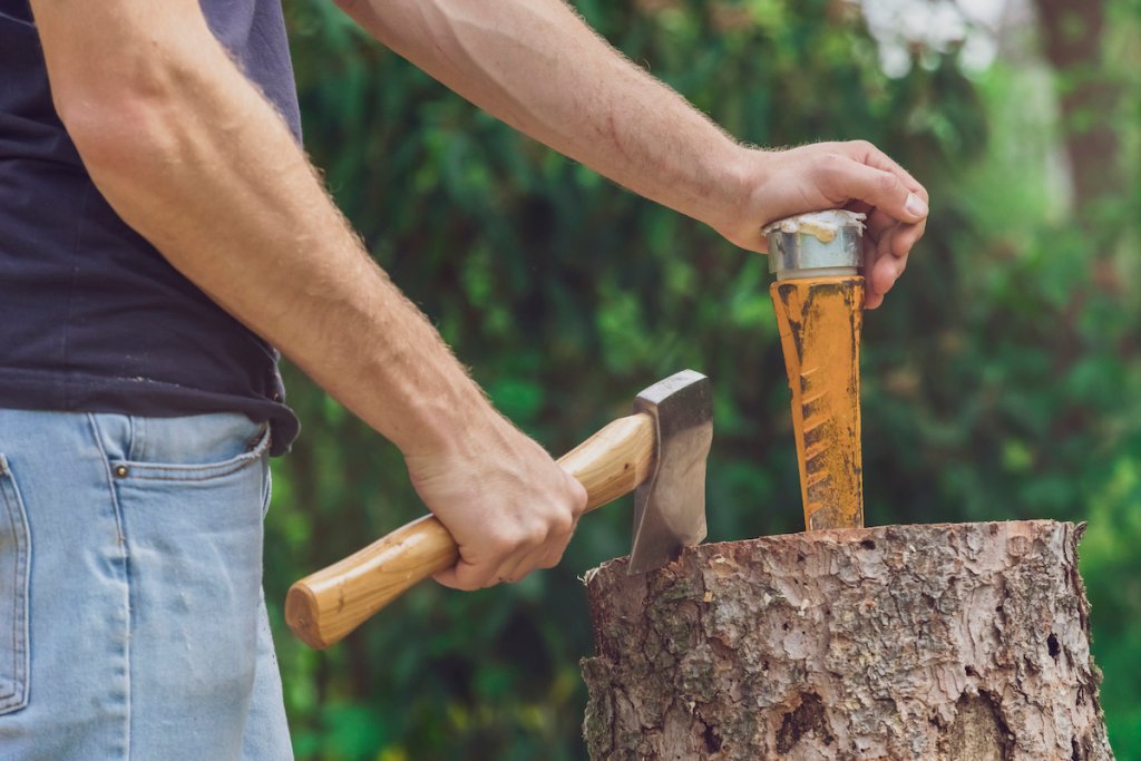 Timber Spring After Splitting How to Split Wood for a Fire in 7 Steps