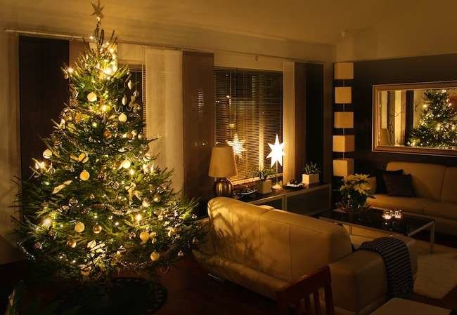 Christmas Miracle: 8 Simple Fixes for All Your Tree Troubles