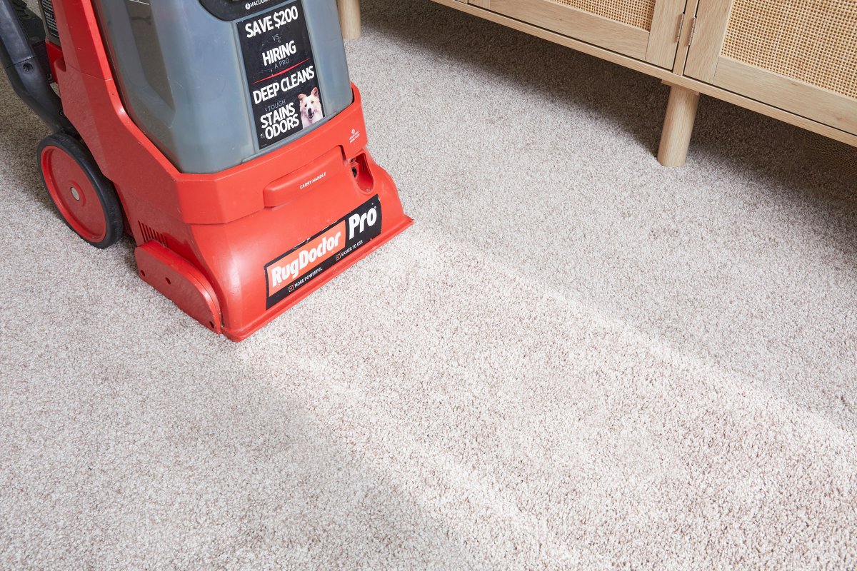 Carpet cleaning machine makes a clean track across a beige carpet.