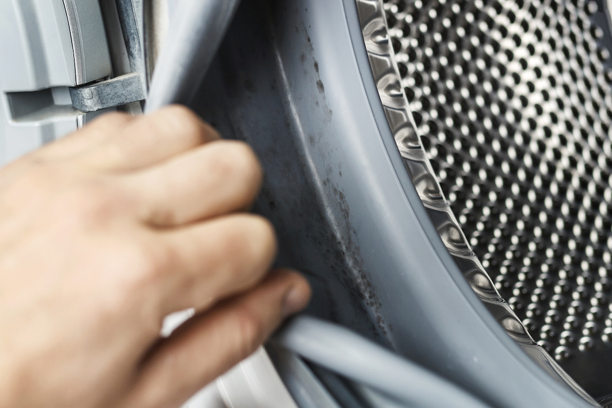 A person's hand opens the gasket of a front-loader washing machine to reveal mold inside.