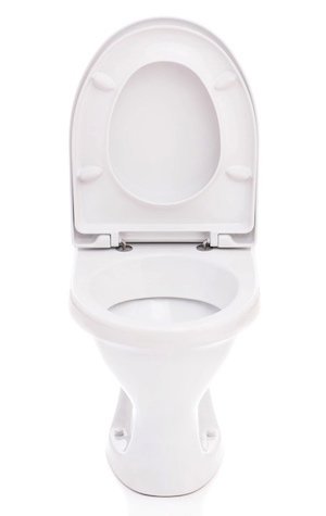 How to Replace a Toilet Seat - Upright Isolated