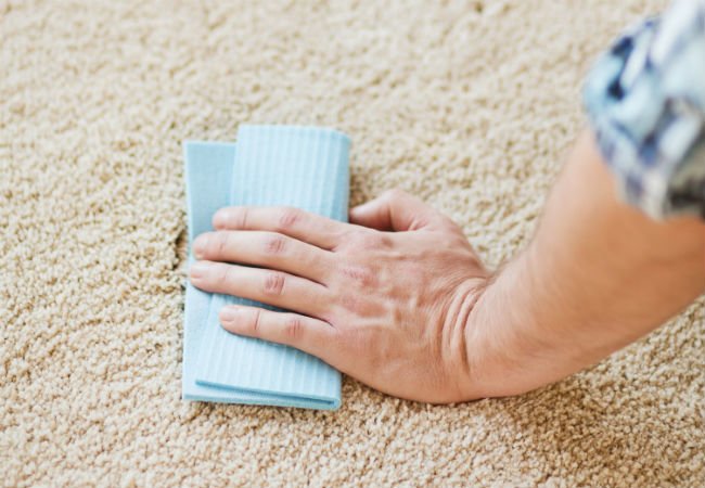 Remove Oil Stains - Carpet