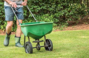 Man using a manual fertilizer spreader on a lawn.