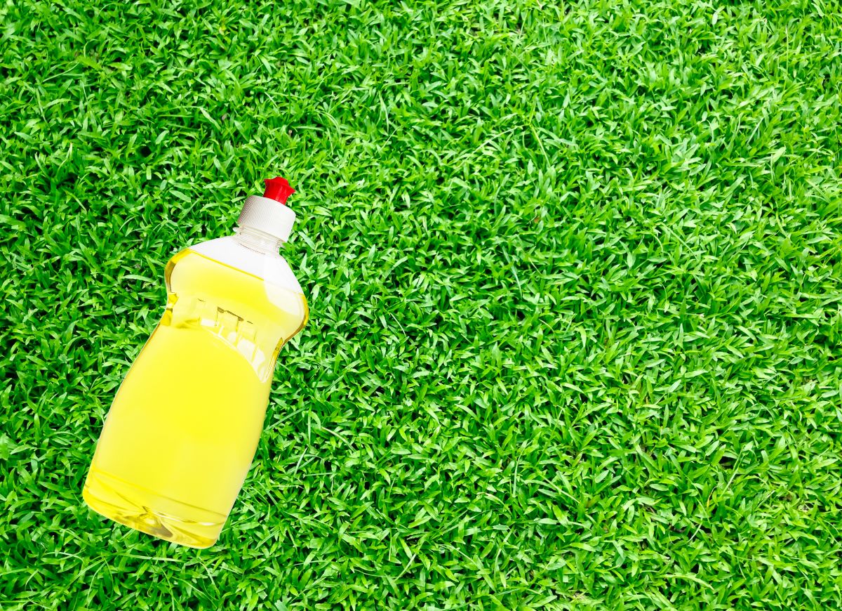 Bottle of dish soap on the grass