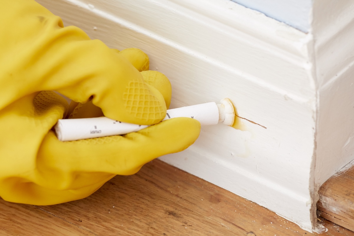 Person wearing yellow gloves rubs lead test swab on a baseboard.