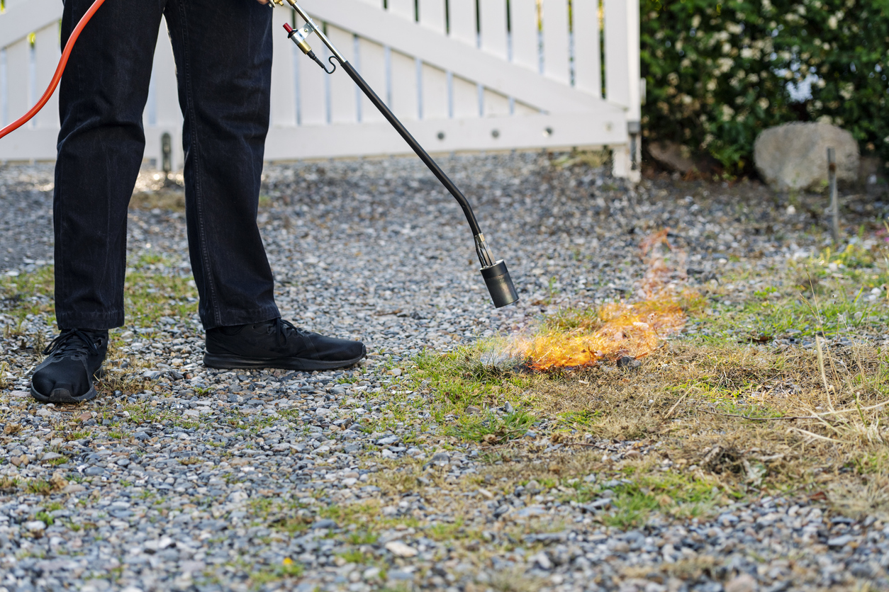 Gas powered weed burner lance burning weeds on a gravel driveway. Weed burning offers a herbicide free option to remove weeds from driveways and paved areas, but the dangers are obvious in drought hit areas where fire can quickly spread. Colour, horizontal format with some copy space.