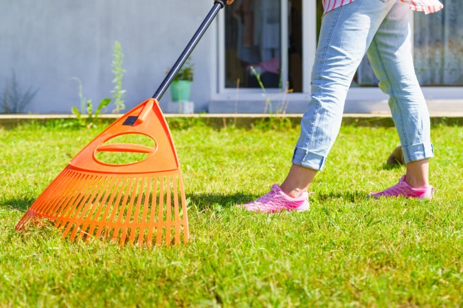 Gardening. Female adult raking green lawn grass with rake tool on her backyard