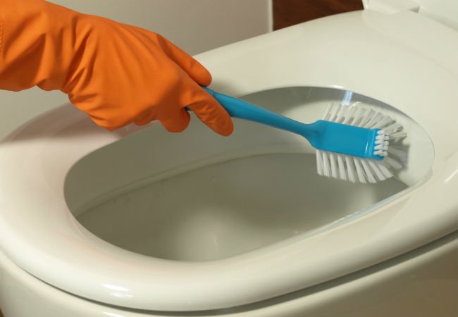 Remove Hard Water Stains - Toilet