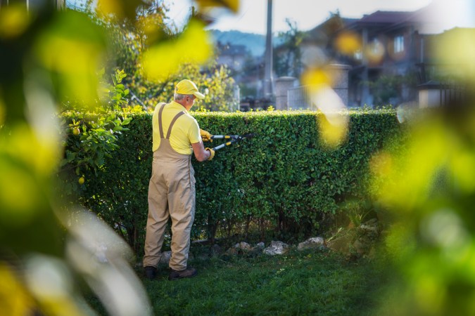 The Dos and Don'ts of Pruning a Bush