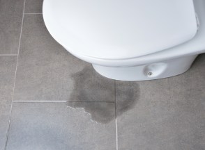Leaking Toilet Tank? Here's How to Fix It