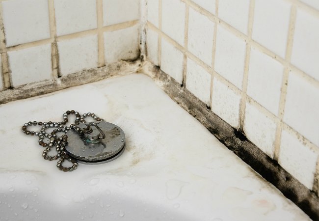 Black Mold in Bathroom - Mold Around Tub