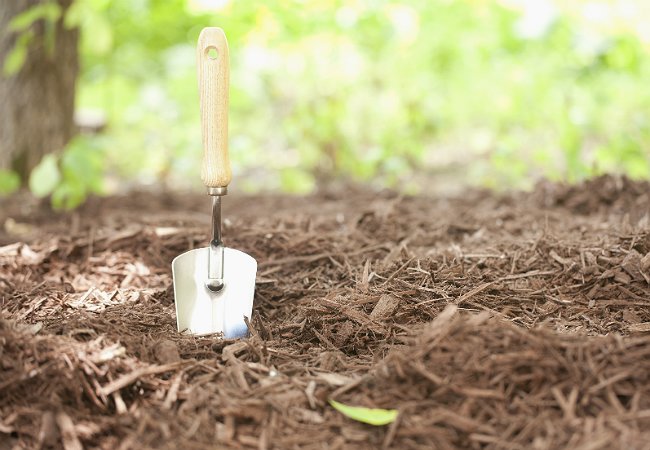 How To: Make Mulch from Scratch