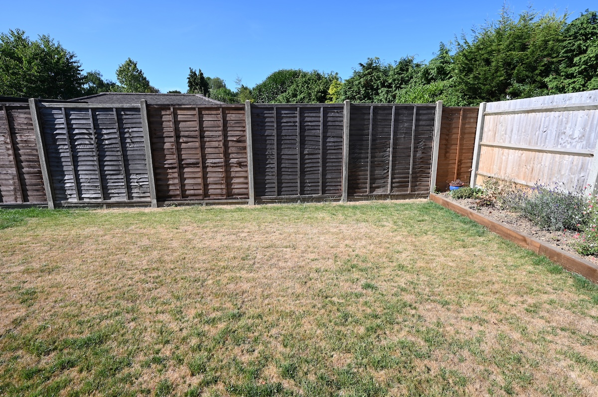 A backyard with wood privacy fence and dead grass.