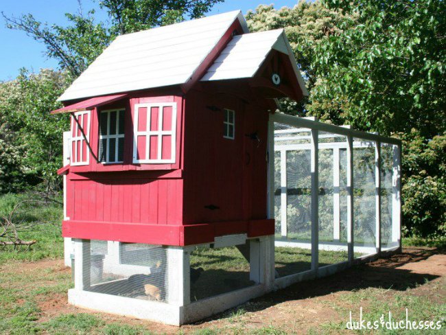 DIY Chicken Coop - Design by Dukes and Duchesses