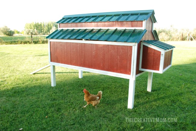 DIY Chicken Coop - Design from The Creative Mom