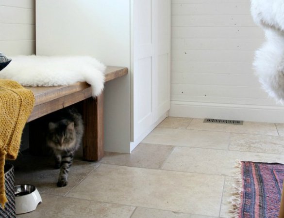 Genius! Hide a Litter Box (and Its Mess) in Plain Sight