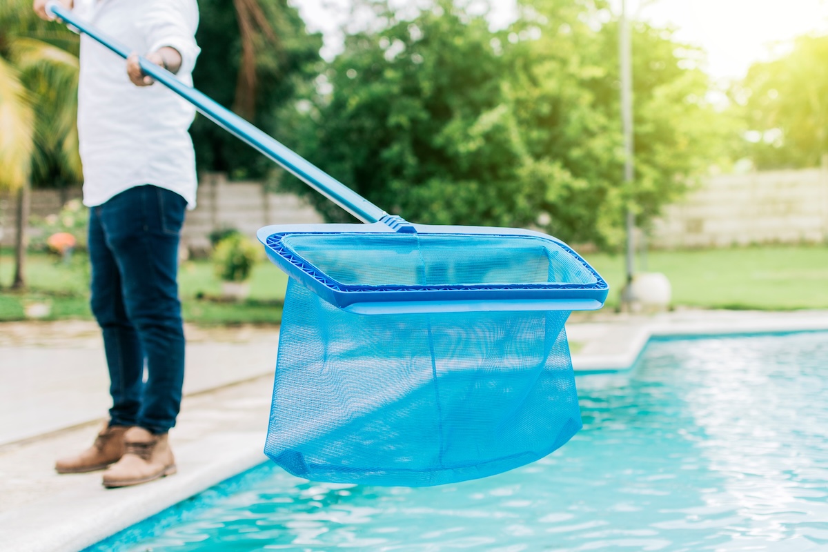 Man cleaning the pool with the Skimmer,