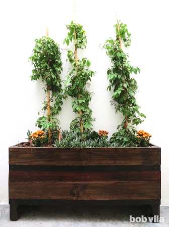 DIY Lite: A Beginner's Guide to Building a Wooden Planter Box