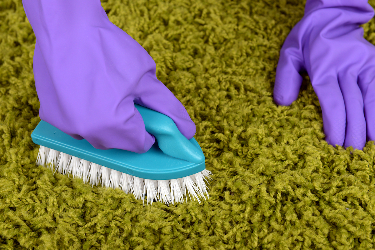 how to remove blood from carpet