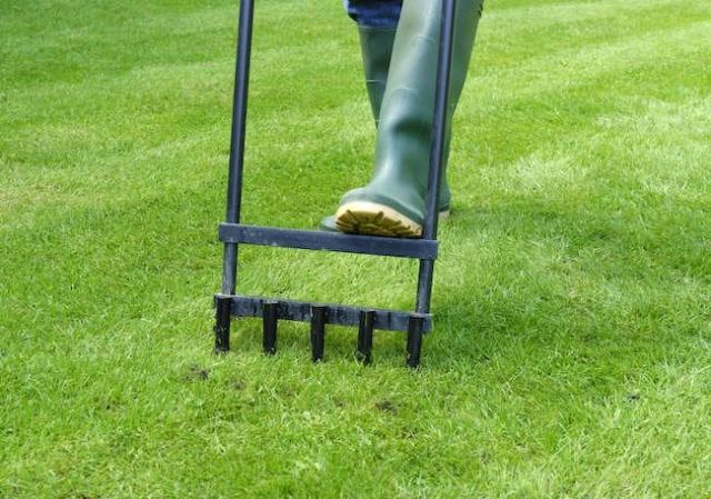 Winterize Your Lawn and Garden in 7 Steps