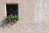 Potted plants outside a window in summer time; grey stucco exterior.