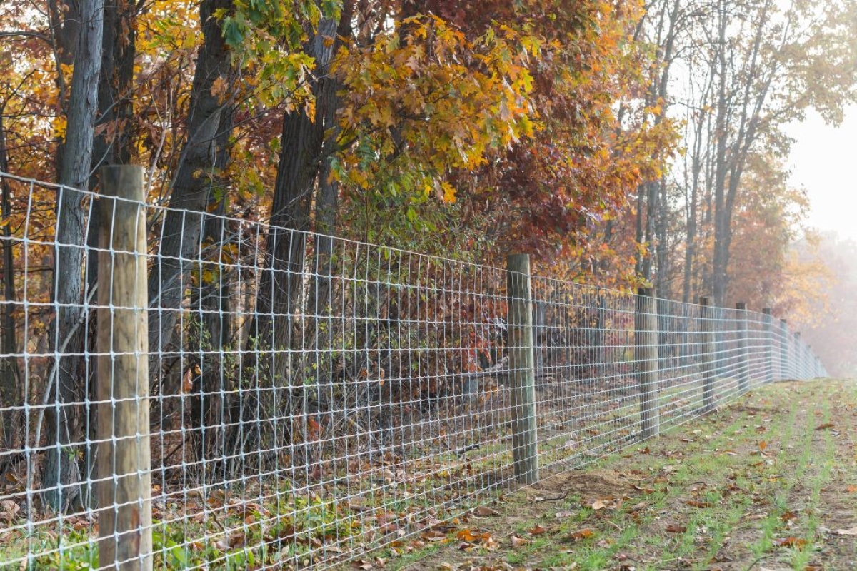 fencing materials - woven wire fence