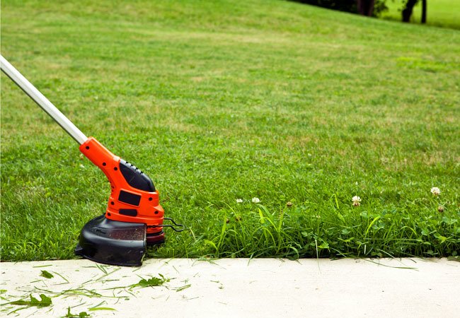 How to Edge a Lawn