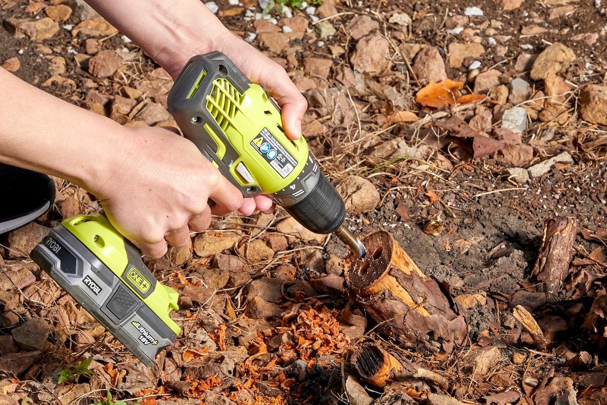 How to Kill Tree Roots Naturally