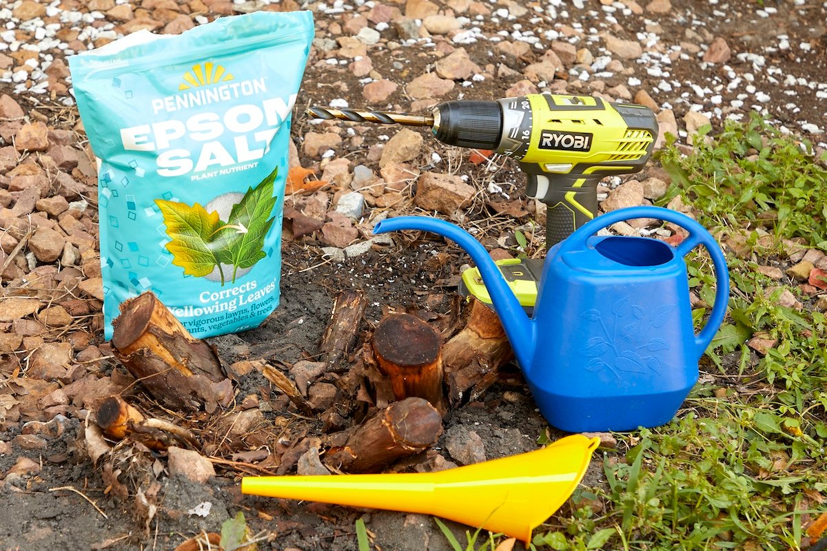 Epsom salt, funnel, and watering can outdoors on the ground.