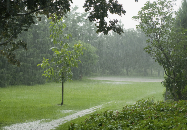 Dry Wells - Stormwater