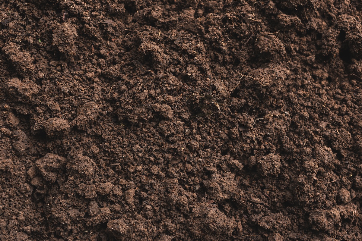 A close-up image of dark loam soil