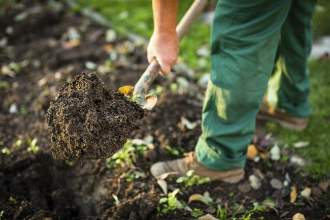 Soil Types