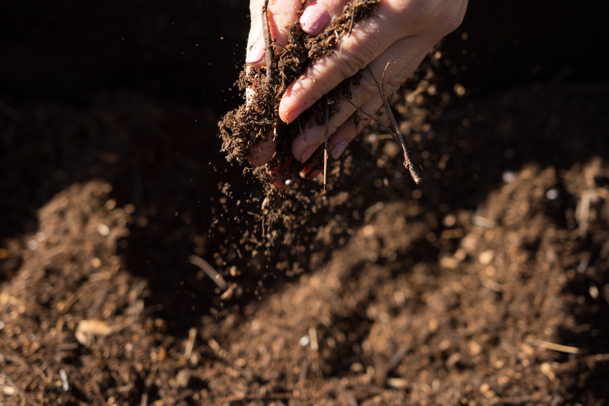 A set of hands feeling a handful of soil to examine its composition. 