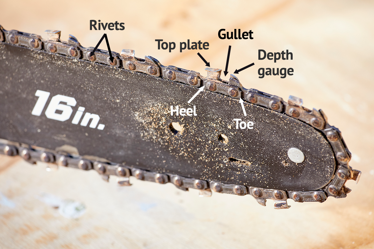 A photograph of a chainsaw labeled with the names of the parts.