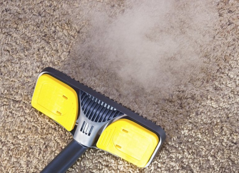 A black and yellow steam cleaner on a beige carpet