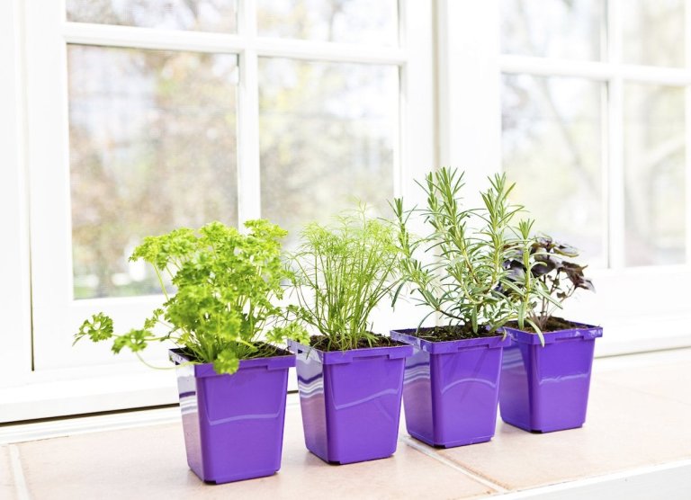 window herb garden